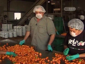 Далеко еще дальше - Мексика с Михаилом Кожуховым