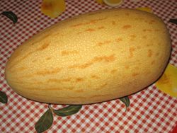 Дыня – сочное удовольствие для красоты и здоровья! 